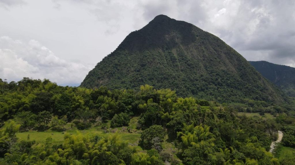 Lote en venta Antioquia Venecia Venecia 0 m2 Habitaciones 0 Baños 0 Garajes 0 Precio $2800000000