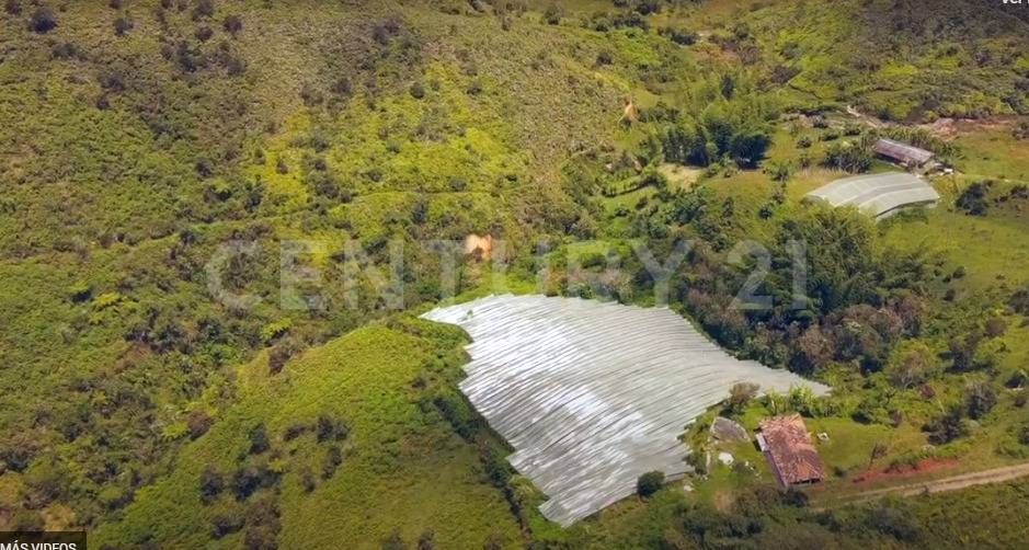 Lote en venta Antioquia San Vicente San Vicente 5 m2 Habitaciones 0 Baños 0 Garajes 0 Precio $250000000