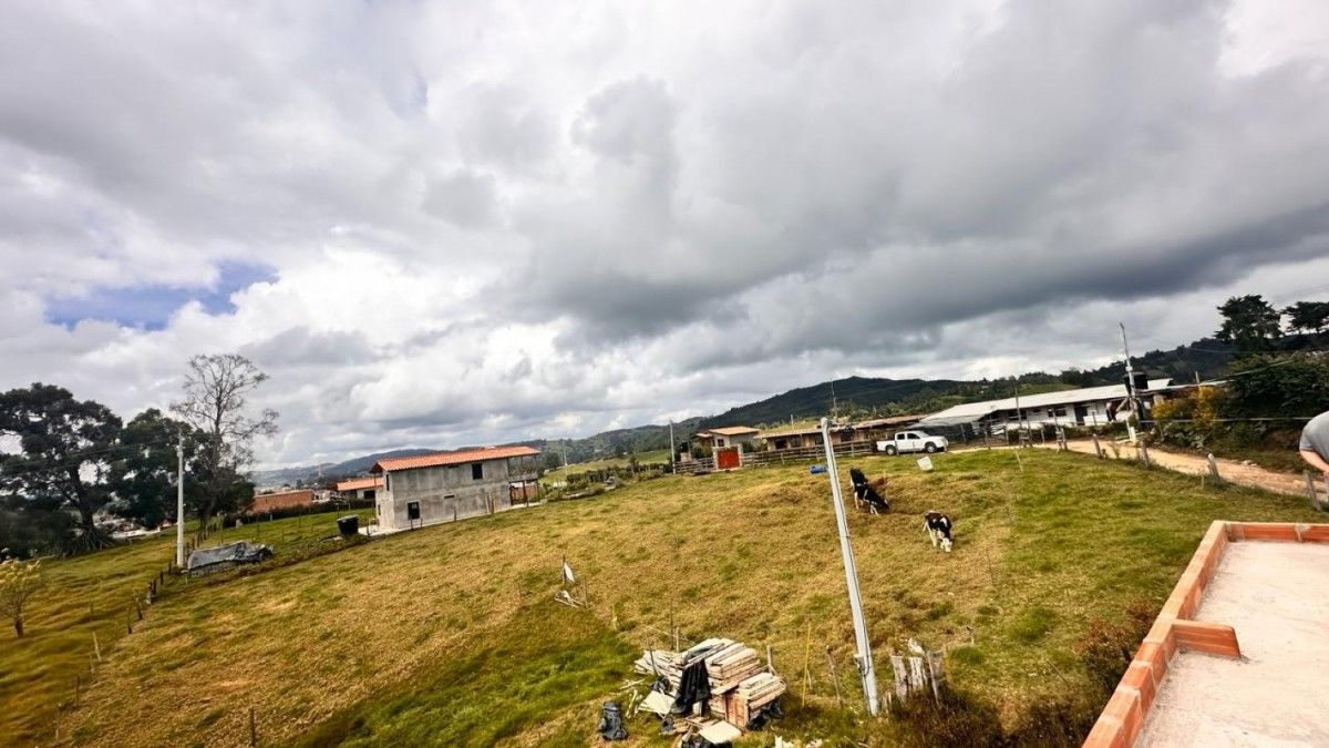 Lote en venta Antioquia San Pedro Paraje La María 1580 m2 Habitaciones 0 Baños 0 Garajes 0 Precio $245000000