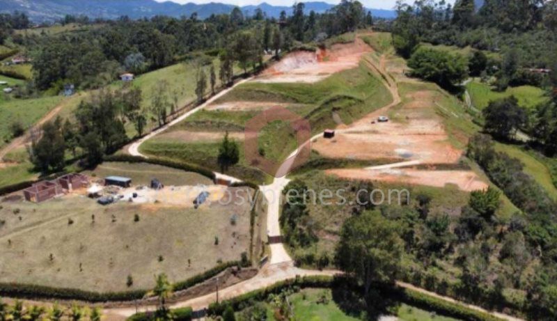 Lote en venta Antioquia El Carmen De Viboral Vereda Quirama 1500 m2 Habitaciones 0 Baños 0 Garajes 0 Precio $380000000