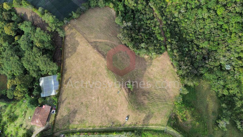 Lote en venta Antioquia El Carmen De Viboral El Carmen De Viboral 23000 m2 Habitaciones 0 Baños 0 Garajes 0 Precio $3815000000