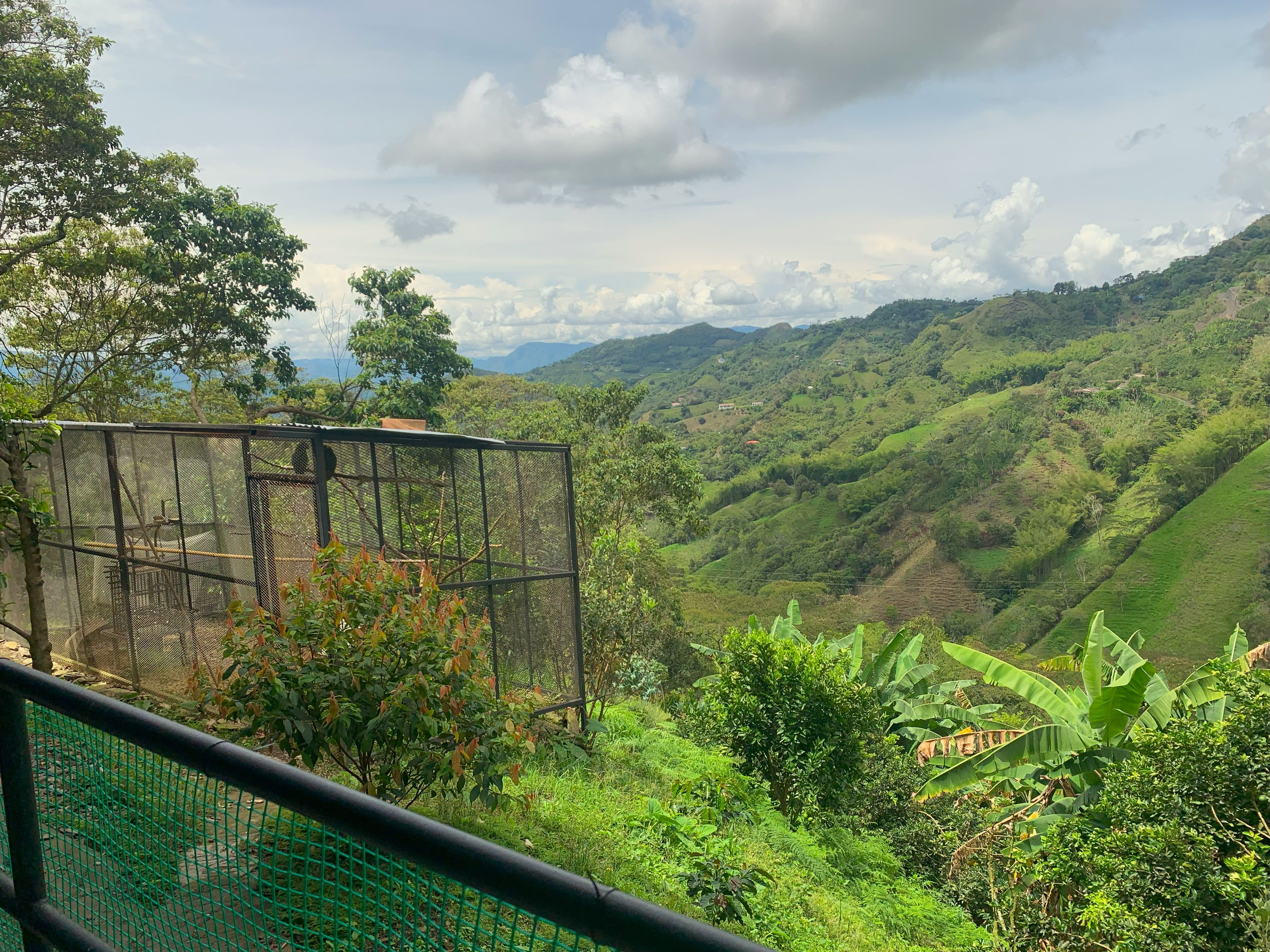 Finca en venta Cundinamarca Vergara Vergara 51200 m2 Habitaciones 6 Baños 6 Garajes 6 Precio $850000000