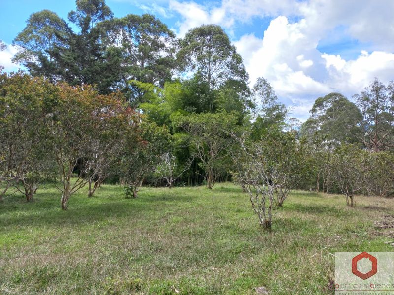 Lote en venta Antioquia Marinilla Marinilla 6404 m2 Habitaciones 0 Baños 0 Garajes 0 Precio $370000000