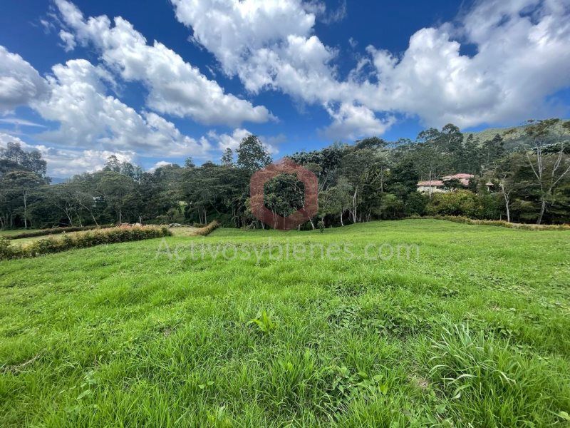 Lote en venta Antioquia La Ceja La Ceja 2000 m2 Habitaciones 0 Baños 0 Garajes 0 Precio $675000000