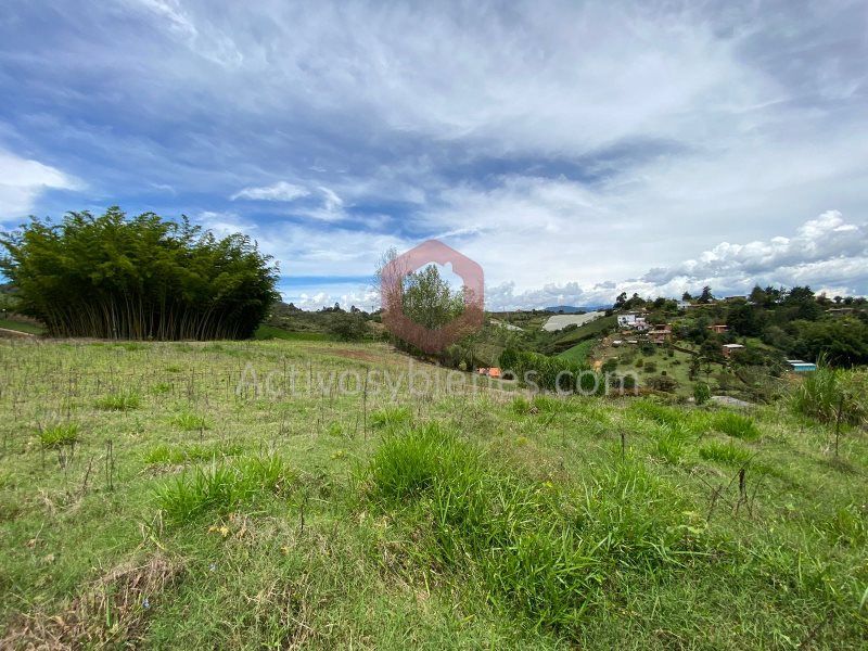 Lote en venta Antioquia Marinilla Vereda Alto Del Chocho 6000 m2 Habitaciones 0 Baños 0 Garajes 0 Precio $720000000