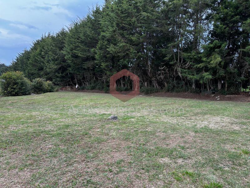 Lote en venta Antioquia Rionegro Centro 1150 m2 Habitaciones 0 Baños 0 Garajes 2 Precio $800000000