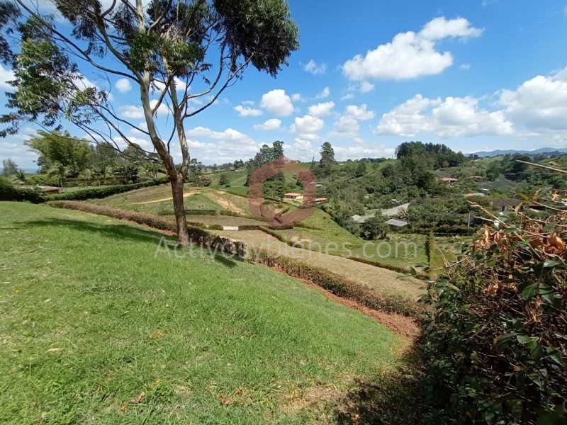 Lote en venta Antioquia El Carmen De Viboral Vereda Quirama 3320 m2 Habitaciones 0 Baños 0 Garajes 0 Precio $830000000
