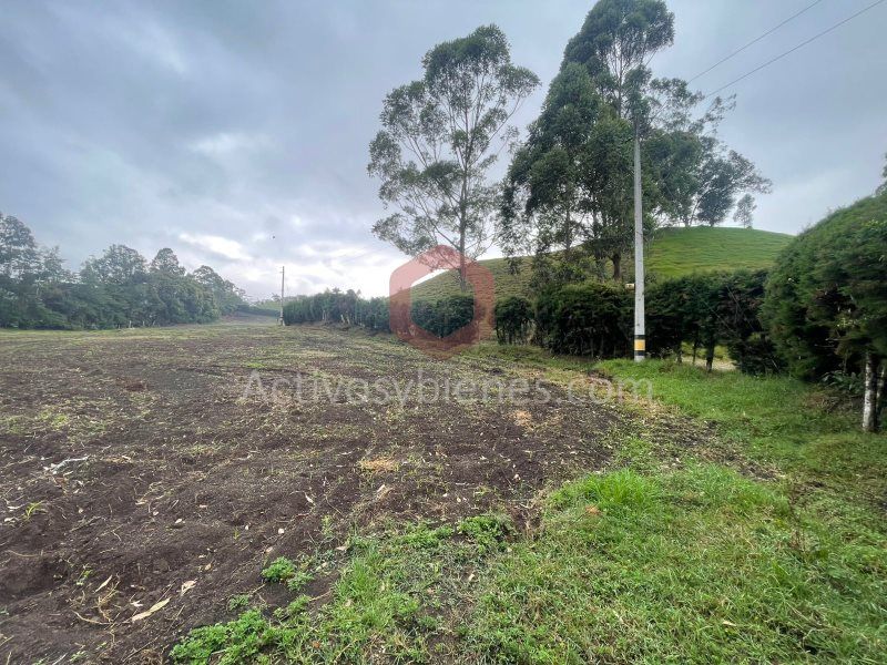 Lote en venta Antioquia Rionegro Centro 10000 m2 Habitaciones 0 Baños 0 Garajes 0 Precio $2000000000