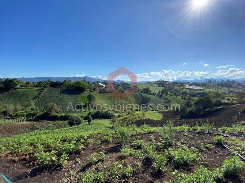 Lote en venta Antioquia Marinilla Vereda Cascajo Arriba 140000 m2 Habitaciones 0 Baños 0 Garajes 0 Precio $14000000000