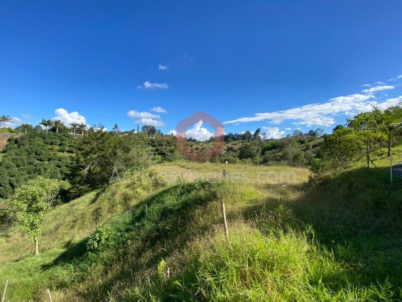 Lote en venta Antioquia Marinilla Colvillas 8842 m2 Habitaciones 0 Baños 0 Garajes 0 Precio $596700000