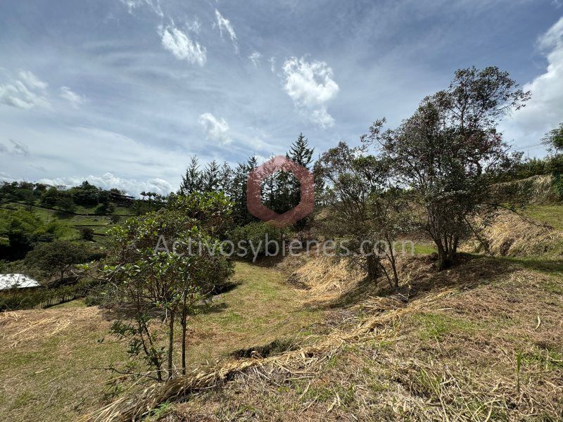 Lote en venta Antioquia Rionegro San Antonio 5680 m2 Habitaciones 0 Baños 0 Garajes 0 Precio $1180000000