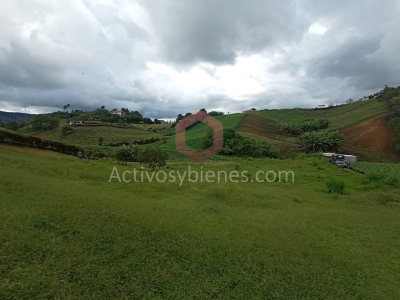 Lote en venta Antioquia El Carmen De Viboral Vereda Quirama 3100 m2 Habitaciones 0 Baños 0 Garajes 0 Precio $450000000