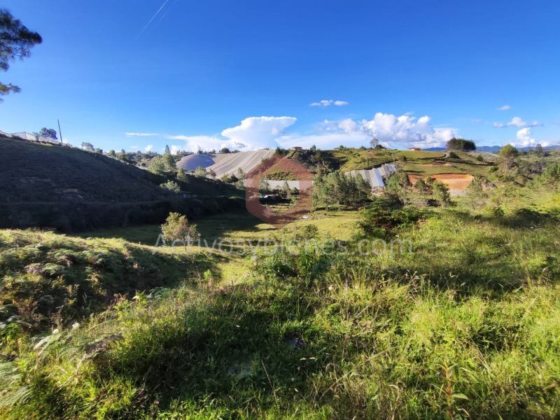 Lote en venta Antioquia Guarne Guarne 42000 m2 Habitaciones 0 Baños 0 Garajes 0 Precio $1100000000