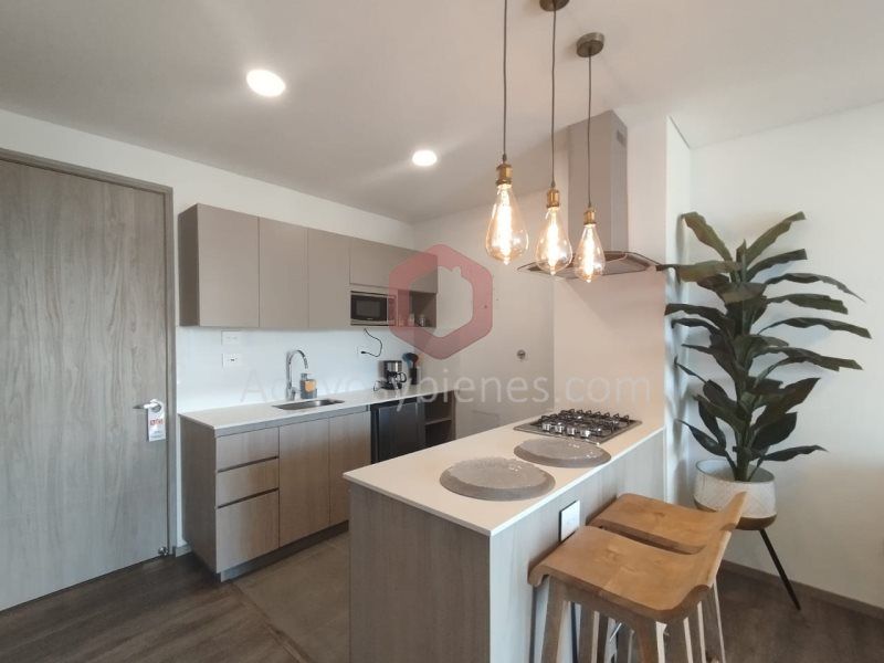 Apartamento en arriendo Antioquia Rionegro Rionegro 57 m2 Habitaciones 1 Baños 2 Garajes 0 Precio $4350000