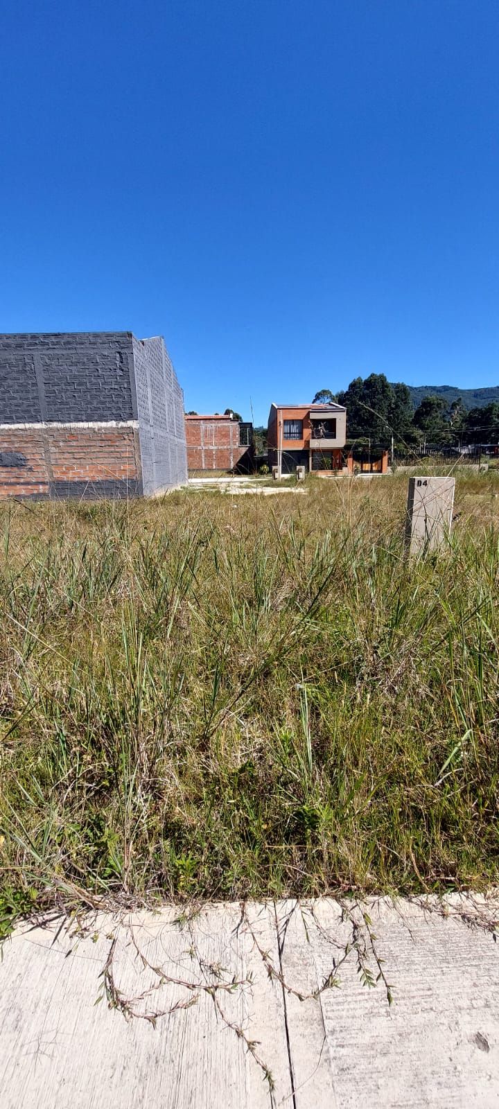 Lote en venta Antioquia La Ceja Centro 99 m2 Habitaciones 0 Baños 0 Garajes 0 Precio $237000000