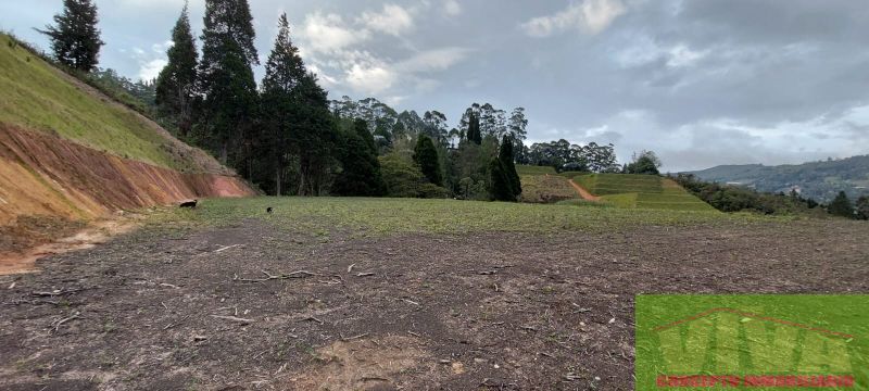 Lote en venta Antioquia Guarne Santo Tomás 2000 m2 Habitaciones 0 Baños 0 Garajes 0 Precio $450000000