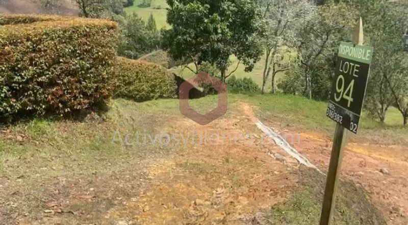 Lote en venta Antioquia San Pedro San Pedro 2540 m2 Habitaciones 0 Baños 0 Garajes 0 Precio $520000000