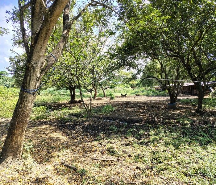 Lote en venta Valle Del Cauca Candelaria Candelaria 10646 m2 Habitaciones 0 Baños 0 Garajes 0 Precio $720000000