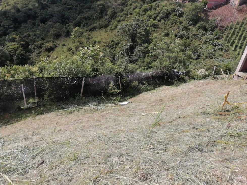 Lote en venta Caldas Villamaría Turín 60 m2 Habitaciones 0 Baños 0 Garajes 0 Precio $50000000