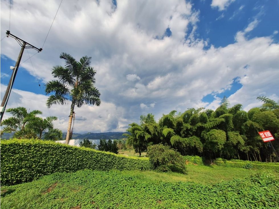 Lote en venta Caldas Chinchiná Chinchiná 1800 m2 Habitaciones 0 Baños 0 Garajes 0 Precio $695000000