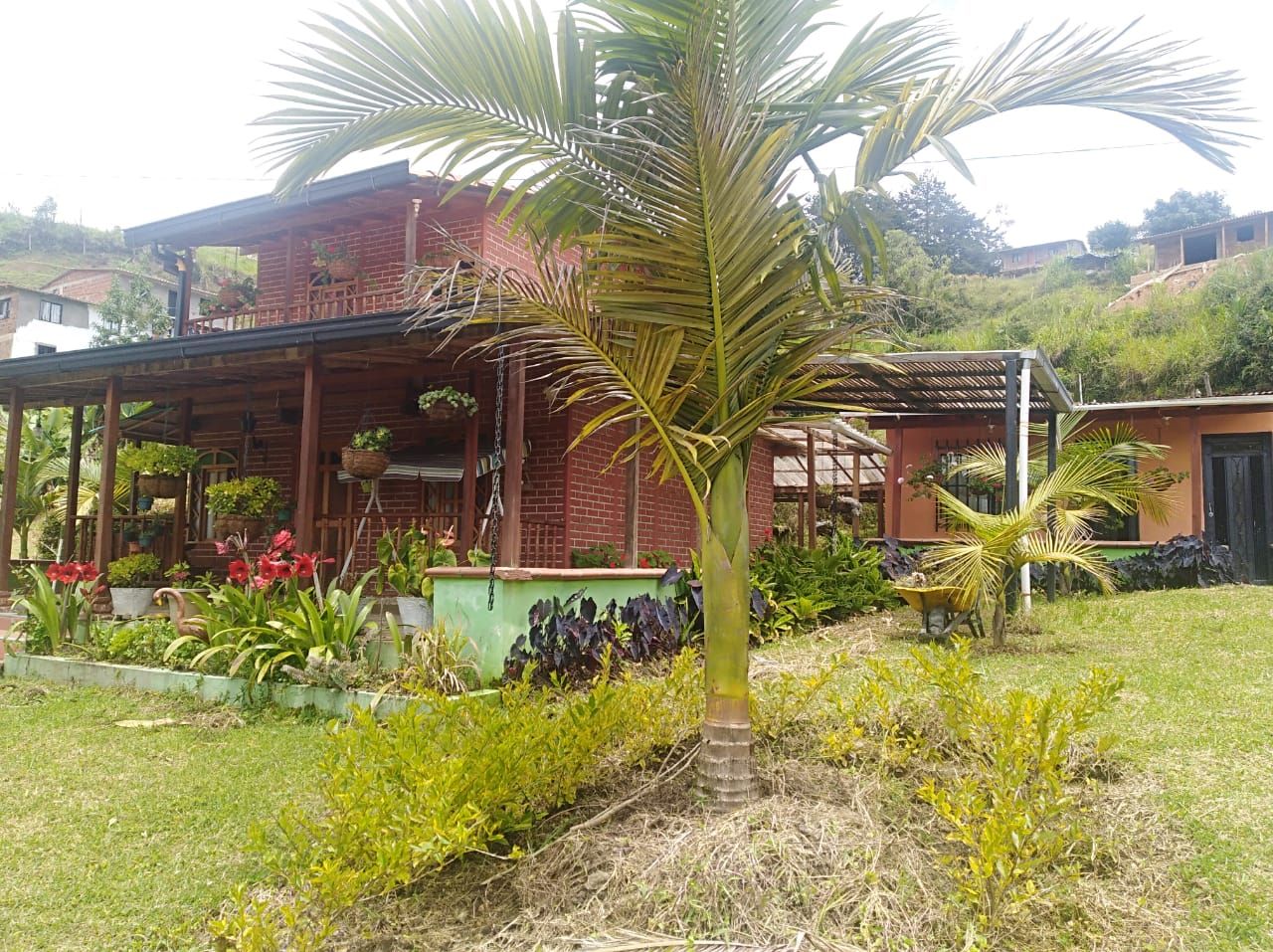 Finca en venta Antioquia El Santuario Jose Maria Cordova 10324 m2 Habitaciones 6 Baños 3 Garajes 1 Precio $900000000