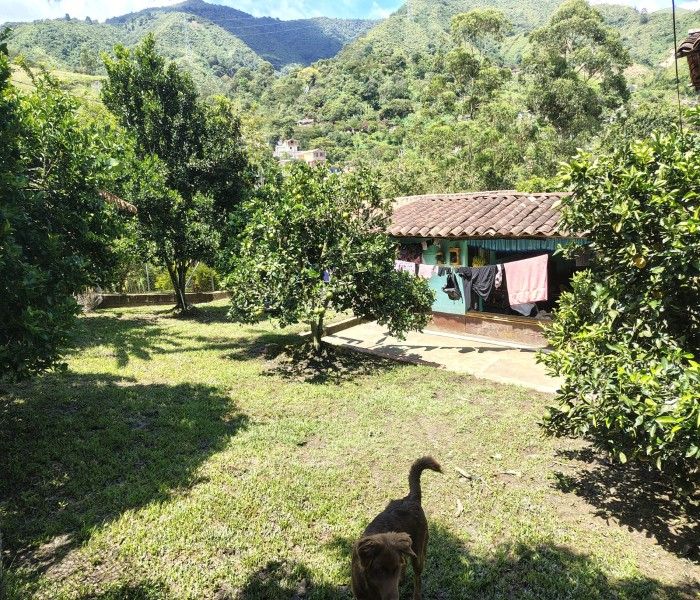 Apartamento en venta Antioquia Angelópolis Angelopolis 51 m2 Habitaciones 2 Baños 2 Garajes 0 Precio $250000000