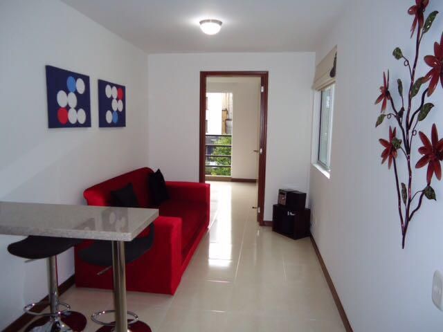 Apartaestudio en arriendo Risaralda Pereira Balcones De Segovia 45 m2 Habitaciones 1 Baños 1 Garajes 1 Precio $2400000