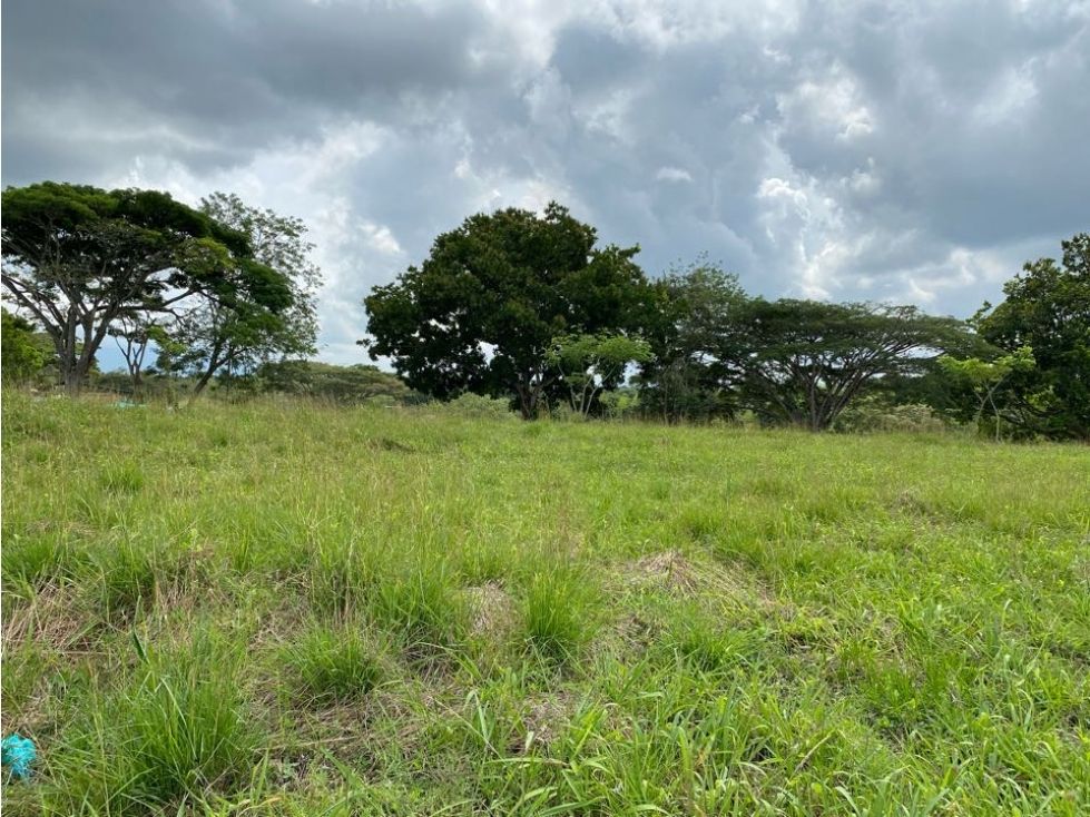 Lote en venta Risaralda Pereira Pereira 2003 m2 Habitaciones 0 Baños 0 Garajes 0 Precio $791185000