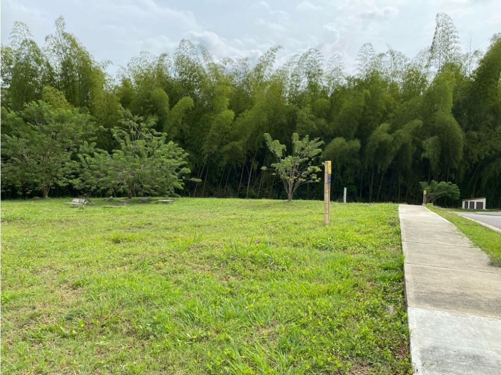 Lote en venta Risaralda Pereira Pereira 1911 m2 Habitaciones 0 Baños 0 Garajes 0 Precio $580600700