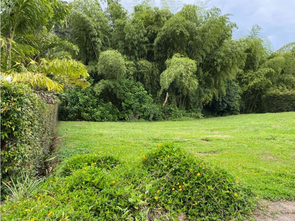 Lote en venta Risaralda Pereira Pereira 2000 m2 Habitaciones 0 Baños 0 Garajes 0 Precio $900000000