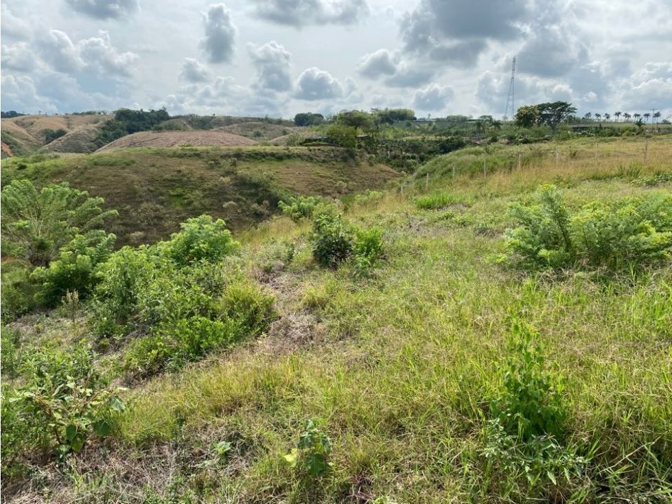 Lote en venta Risaralda Pereira Pereira 10560 m2 Habitaciones 0 Baños 0 Garajes 0 Precio $950400000