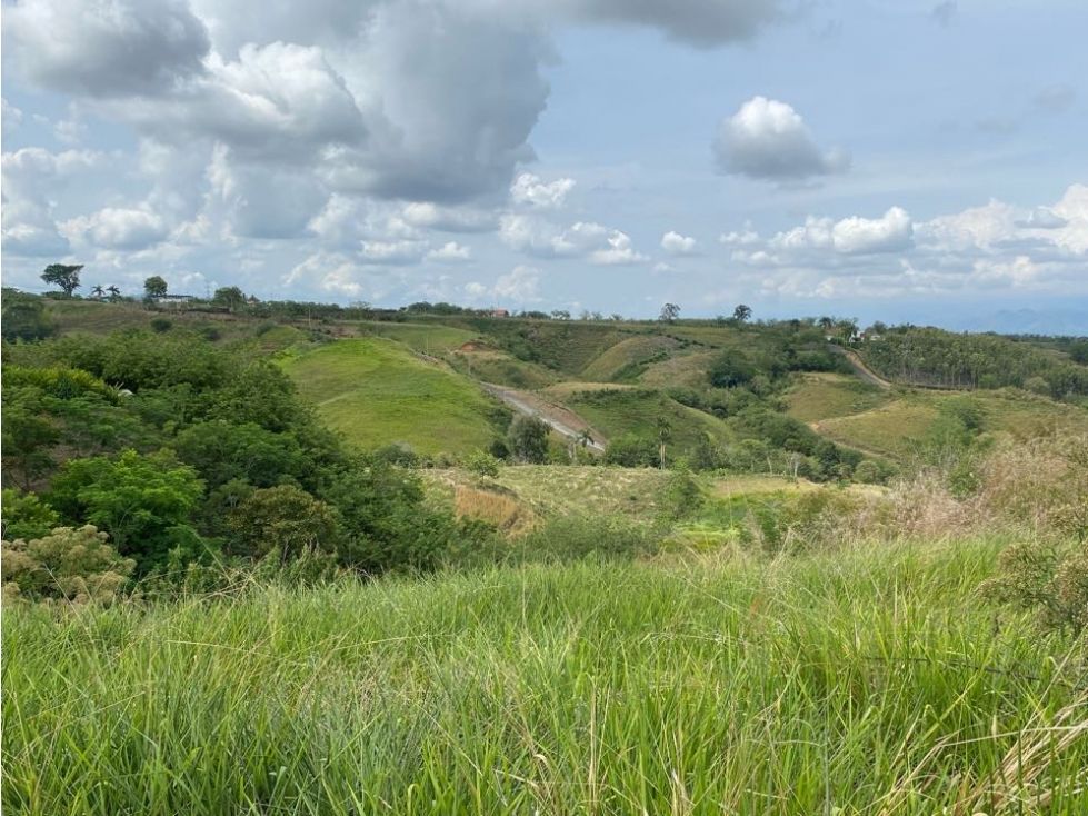 Lote en venta Risaralda Pereira Pereira 12217 m2 Habitaciones 0 Baños 0 Garajes 0 Precio $1099530000