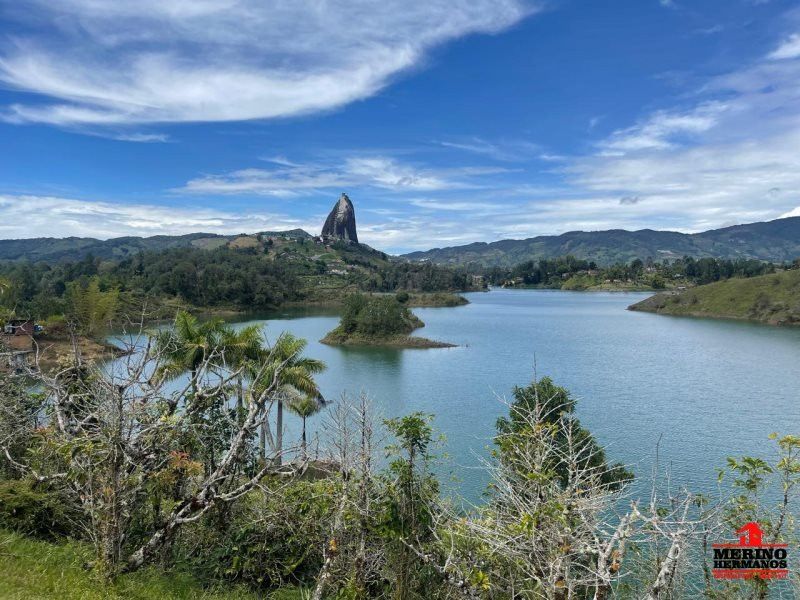 Lote en venta Nariño El Peñol El Peñol 45200 m2 Habitaciones 0 Baños 0 Garajes 0 Precio $12800000000