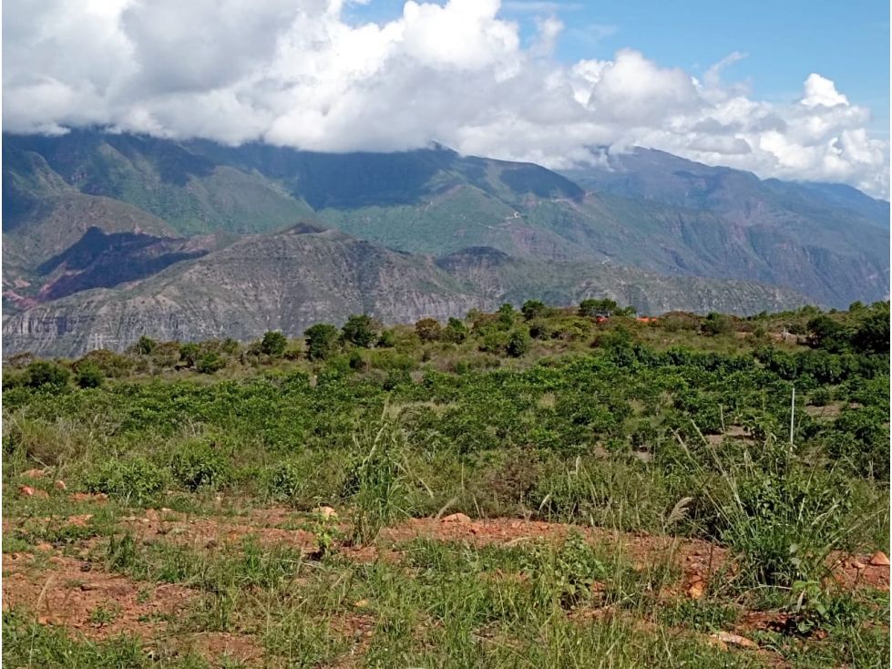 Lote en venta Santander Los Santos Los Santos 2500 m2 Habitaciones 0 Baños 0 Garajes 0 Precio $65000000