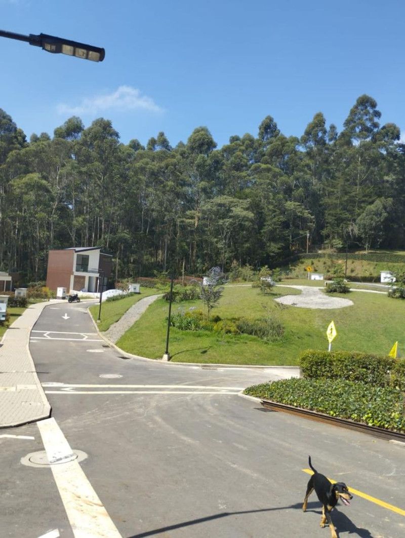 Lote en venta Antioquia Marinilla Marinilla 185 m2 Habitaciones 0 Baños 0 Garajes 0 Precio $300000000