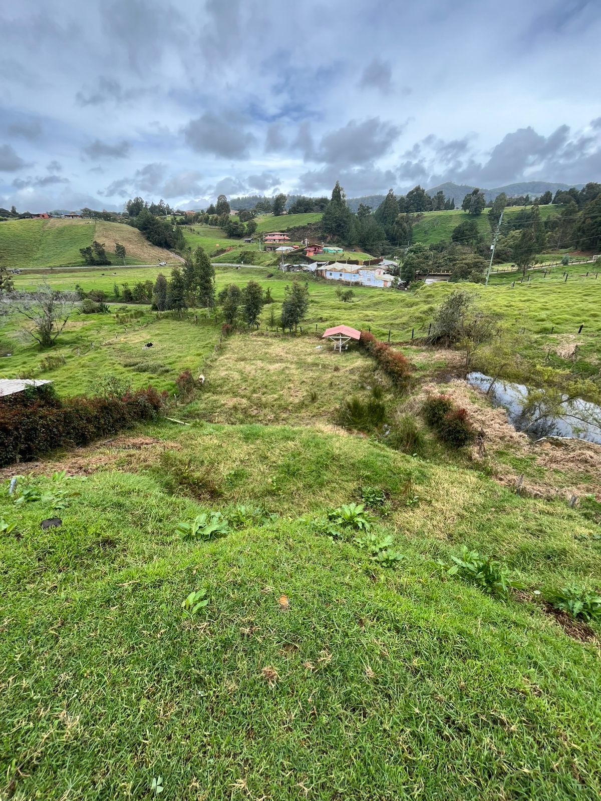 Lote en venta Antioquia Belmira La Marquetalia 1000 m2 Habitaciones 0 Baños 0 Garajes 0 Precio $310000000