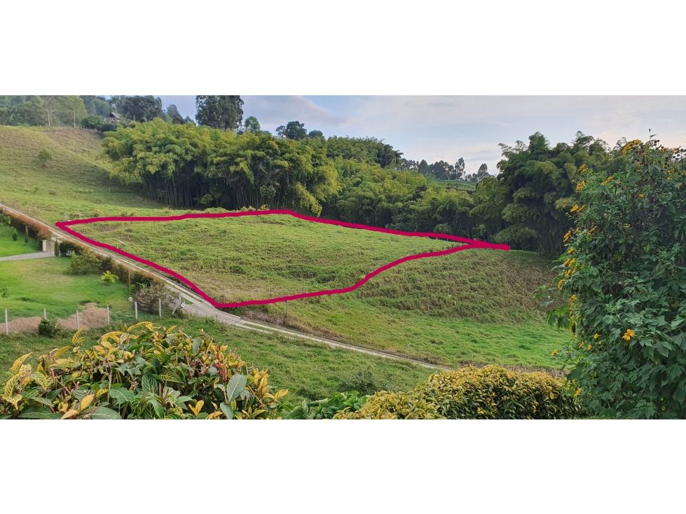 Lote en venta Risaralda Santa Rosa De Cabal Santa Rosa De Cabal 3200 m2 Habitaciones 0 Baños 0 Garajes 0 Precio $450000000