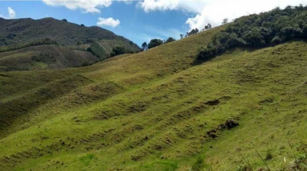 Finca en venta Antioquia Abejorral Abejorral 300 m2 Habitaciones 0 Baños 0 Garajes 0 Precio $2583000000