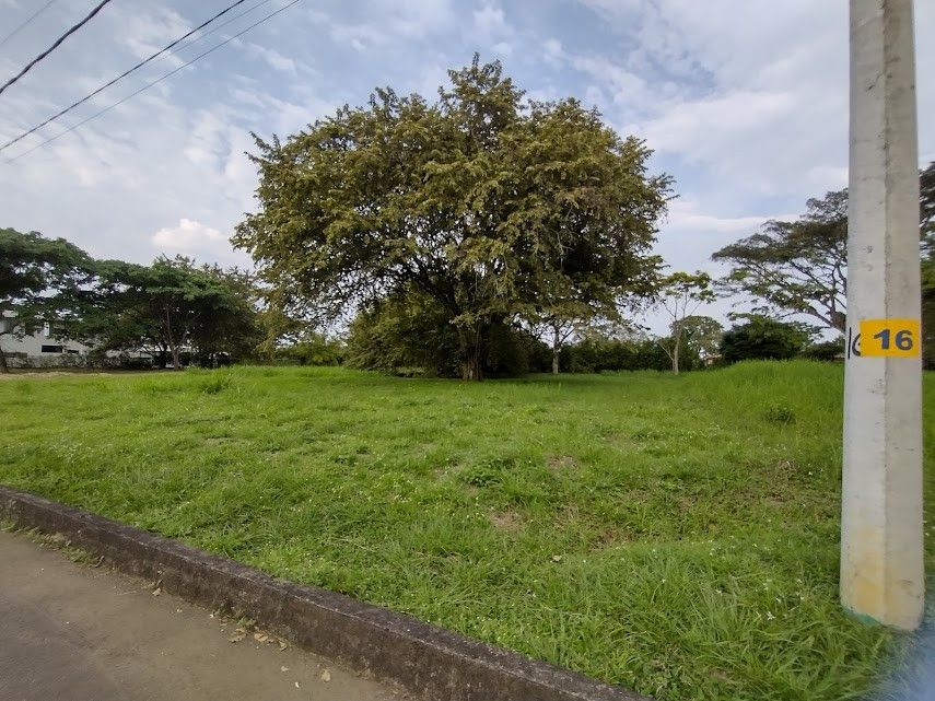 Lote en venta Valle Del Cauca Jamundí Ub Los Madronos Et Ii 0 m2 Habitaciones 0 Baños 0 Garajes 0 Precio $350000000