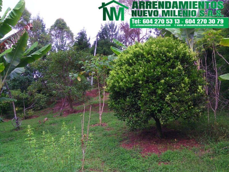 Finca en venta Antioquia Guarne Guarne 7268 m2 Habitaciones 3 Baños 2 Garajes 0 Precio $900000000