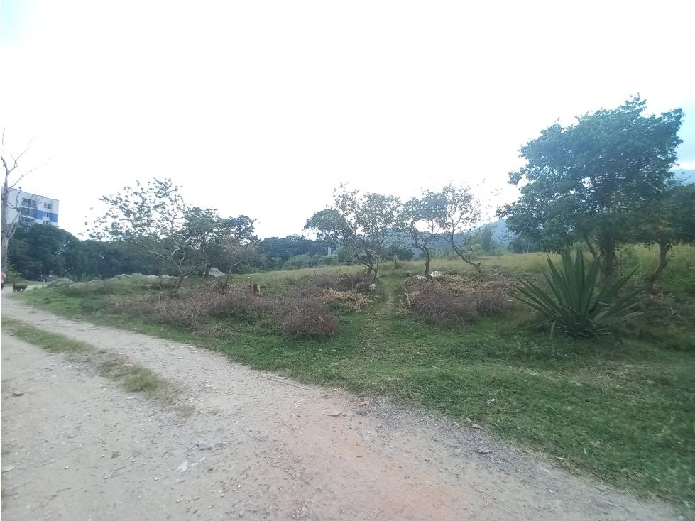 Lote en arriendo Tolima Ibagué Centro 20384 m2 Habitaciones 0 Baños 0 Garajes 0 Precio $4000000