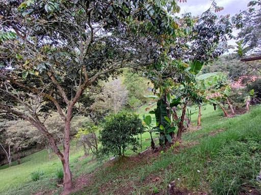 Finca en venta Antioquia Rionegro Rionegro 107 m2 Habitaciones 4 Baños 3 Garajes 2 Precio $830000000