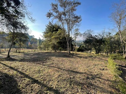 Lote en venta Antioquia El Retiro El Retiro 1787 m2 Habitaciones 0 Baños 0 Garajes 0 Precio $650000000