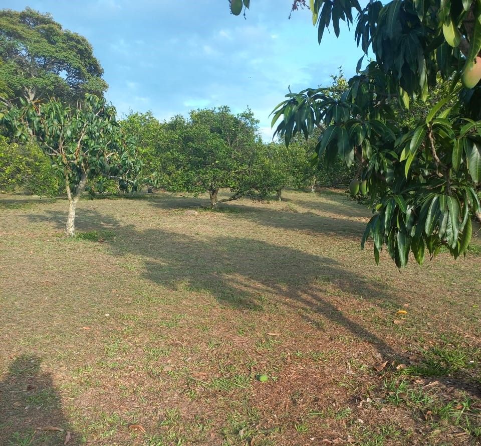 Lote en venta Cundinamarca La Mesa La Mesa 5000 m2 Habitaciones 0 Baños 1 Garajes 1 Precio $550000000