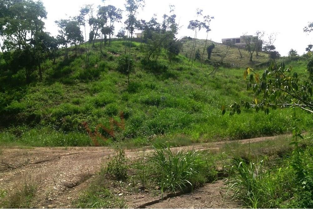 Lote en venta Cundinamarca Anapoima Anapoima 1893 m2 Habitaciones 0 Baños 1 Garajes 1 Precio $416460000