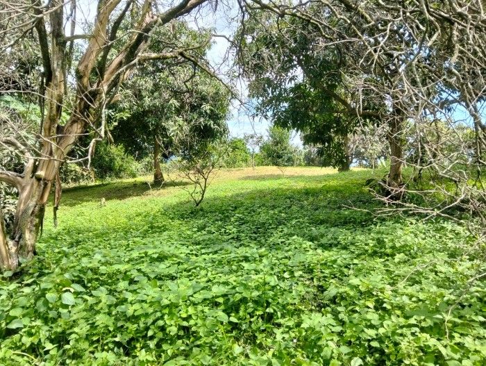 Finca en venta Cundinamarca La Mesa La Mesa 12800 m2 Habitaciones 5 Baños 2 Garajes 5 Precio $550000000