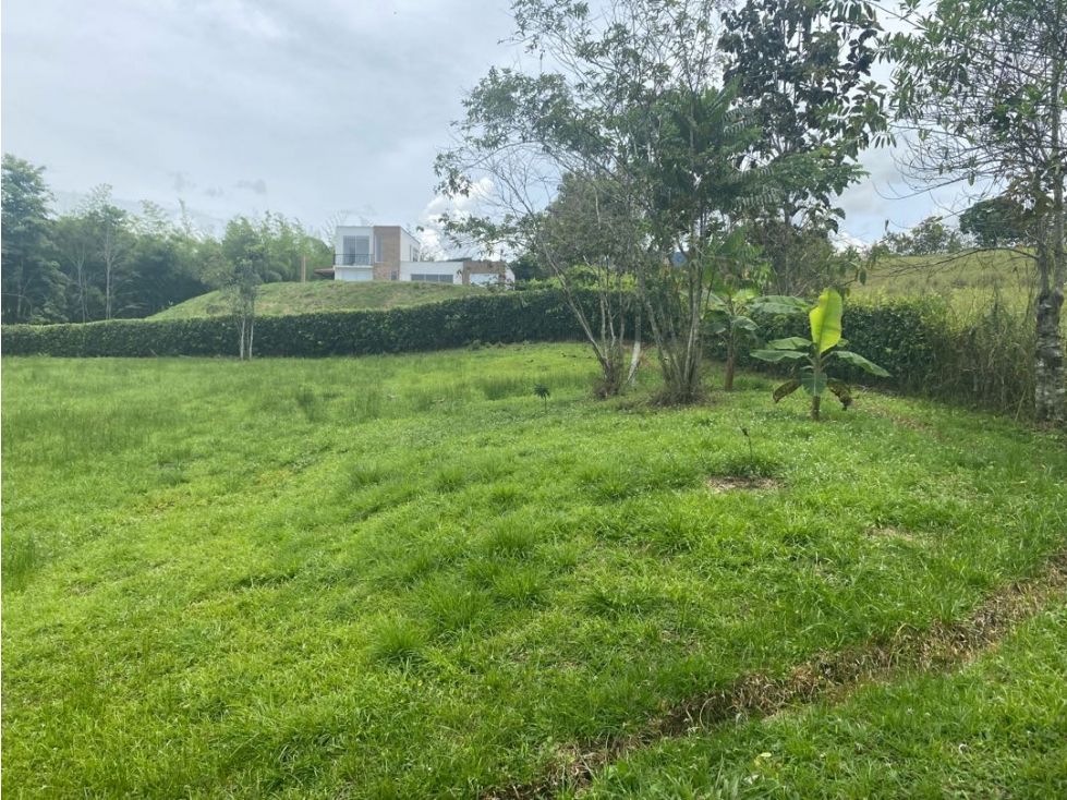 Lote en venta Caldas Viterbo Cn El Eden 2553 m2 Habitaciones 0 Baños 0 Garajes 0 Precio $293000000