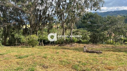 Lote en venta Santander Lebríja Sector Centro 1435 m2 Habitaciones 0 Baños 0 Garajes 0 Precio $230000000