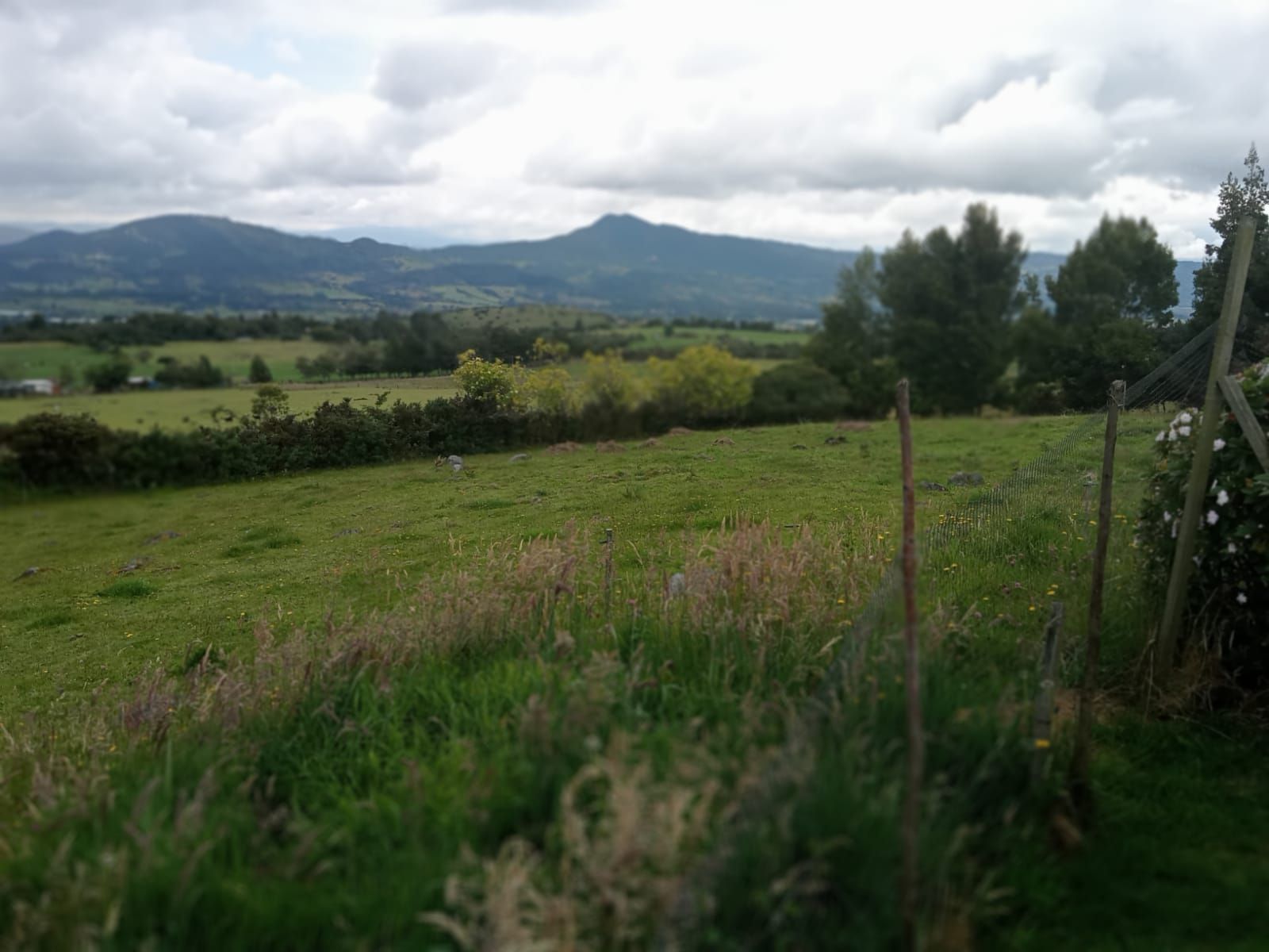 Finca en venta Cundinamarca Guasca Villa Alicia Urbanizacion 33500 m2 Habitaciones 0 Baños 0 Garajes 0 Precio $870000000