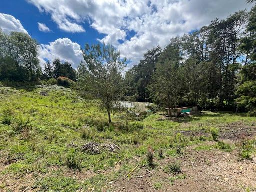 Lote en venta Antioquia Rionegro El Porvenir 6400 m2 Habitaciones 0 Baños 0 Garajes 0 Precio $1100000000